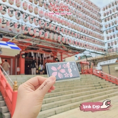 Xinh đẹp - Shinjuku