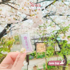 Xinh Đẹp - Shibuya