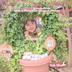 Tình yêu - Cặp mèo