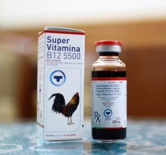 Super Vitamina B12 5500