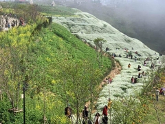 Tour Du Lịch Trải Nghiệm Sapa