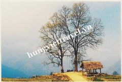 Hà Nội - Mường Hum - Y Tý