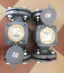 Đồng hồ đo nước thái lan loại mặt bích Asahi WVM50 phi 60