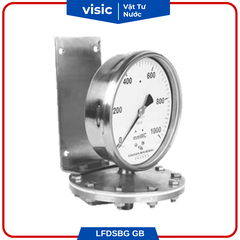 ĐỒNG HỒ ĐO ÁP SUẤT DẠNG CẢM BIẾN MÀNG DSBG | LFDSBG GB-FRANCE