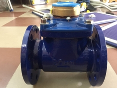 Đồng hồ nước mặt bích thân gang Zermat DN-80C phi 90
