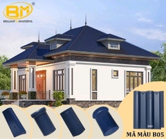 NGÓI BM MÃ B05 DIC MẪU TRƠN-MÀU XANH MỰC ĐẬM