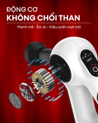 Máy massage cầm tay cao cấp Crenot Thunder Z6 máy massage mini mát xa toàn thân đấm lưng cổ vai gáy