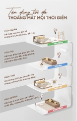 Quạt đối lưu không khí điều khiển bằng giọng nói UNIQ Flow C6