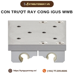 Con trượt ray cong IGUS WWB