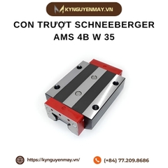 Con trượt SCHNEEBERGER AMS 4B