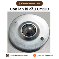 Con lăn bi cầu CY22B
