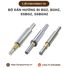 Bộ dẫn hướng bi BGZ, BGHZ, SSBGZ, SSBGHZ