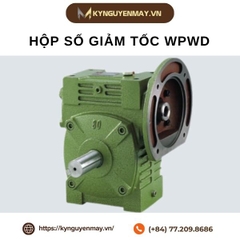 Hộp số giảm tốc WPWD