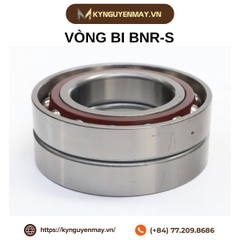 Vòng bi BNR-S