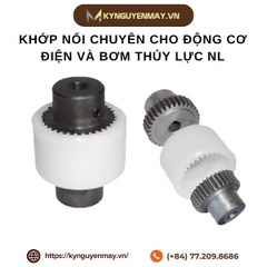 Khớp nối chuyên cho động cơ điện và bơm thủy lực NL
