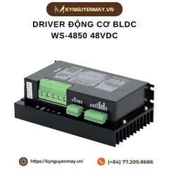 Driver động cơ BLDC WS-4850 48VDC