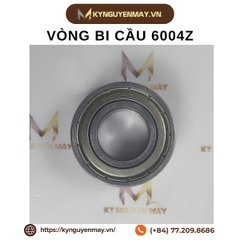 Vòng bi cầu 6004