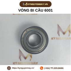 Vòng bi cầu 6001