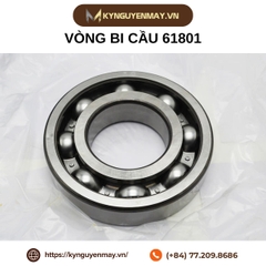 Vòng bi cầu 61801