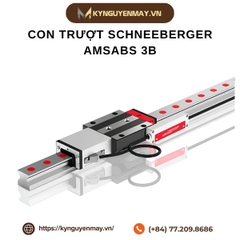 Con trượt SCHNEEBERGER AMSABS 3B