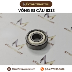 Vòng bi cầu 6313