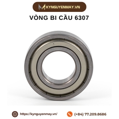 Vòng bi cầu 6307