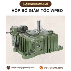 Hộp số giảm tốc WPEO
