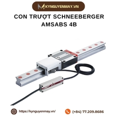 Con trượt SCHNEEBERGER AMSABS 4B