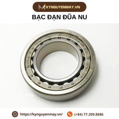 Bạc đạn đũa | NU 1006, NU 1007, NU 1008, NU 1009, NU 1010