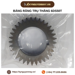 Bánh răng trụ thẳng MSGH-JIS2