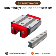 Con trượt SCHNEEBERGER BM