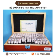 Bộ dưỡng pin đo lỗ 100 chi tiết