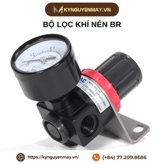 Bộ lọc khí nén BR