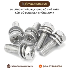 Bu lông vít đầu lục giác lỗ chữ thập kèm bộ long đen chống xoay