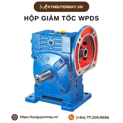 Hộp giảm tốc WPDS