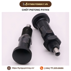 Chốt pistong PXYKN
