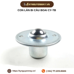 Con lăn bi cầu BOAI CY-TB