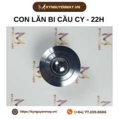 Con lăn bi cầu CY-22H
