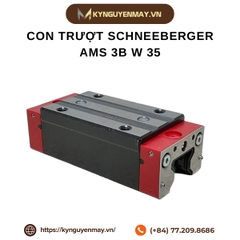 Con trượt SCHNEEBERGER AMS 3B W 35
