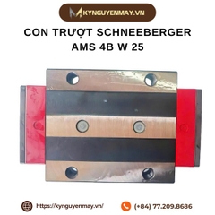 Con trượt SCHNEEBERGER AMS 4B W 25