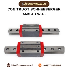 Con trượt SCHNEEBERGER AMS 4B W 45