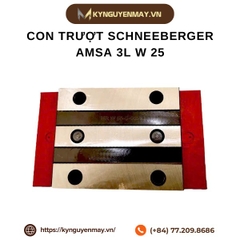 Con trượt SCHNEEBERGER AMSA 3L W 25