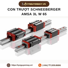Con trượt SCHNEEBERGER AMSA 3L W 65