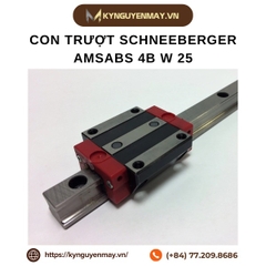 Con trượt SCHNEEBERGER AMSABS 4B W 25