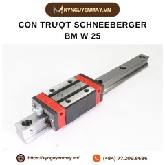 Con trượt SCHNEEBERGER BM W 25