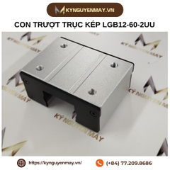 Thanh trượt con trượt trục kép LGB LGD