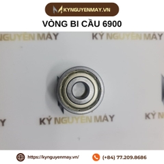 Vòng bi cầu 6900