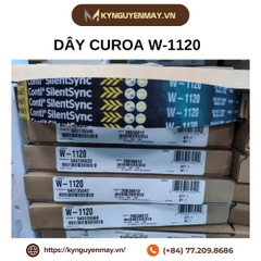 Dây curoa CONTITECH  W-1120