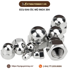 ECU đai ốc mũ inox 304