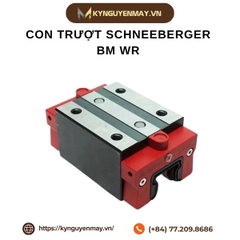 Con trượt SCHNEEBERGER BM WR